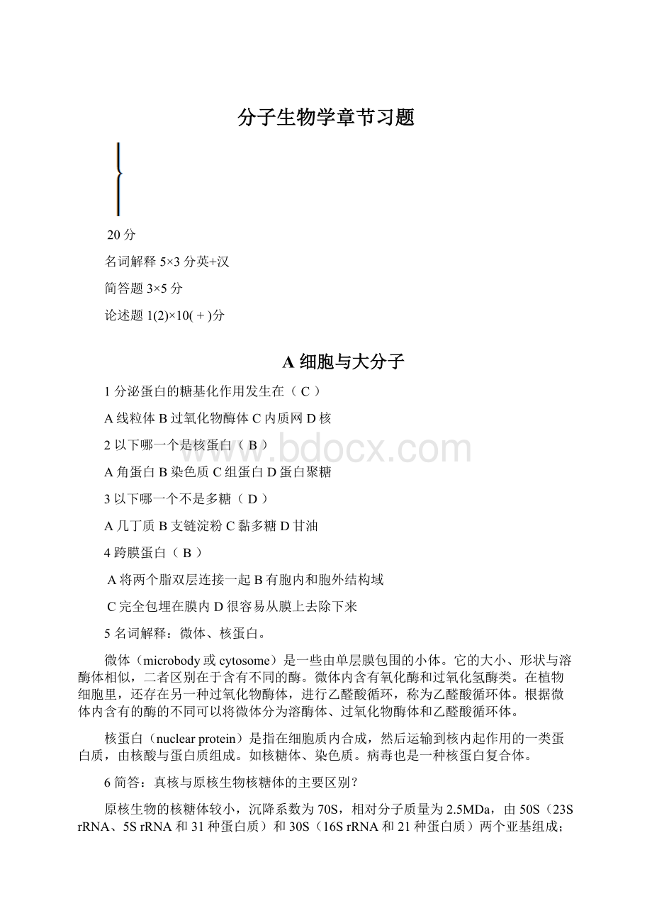 分子生物学章节习题Word格式.docx