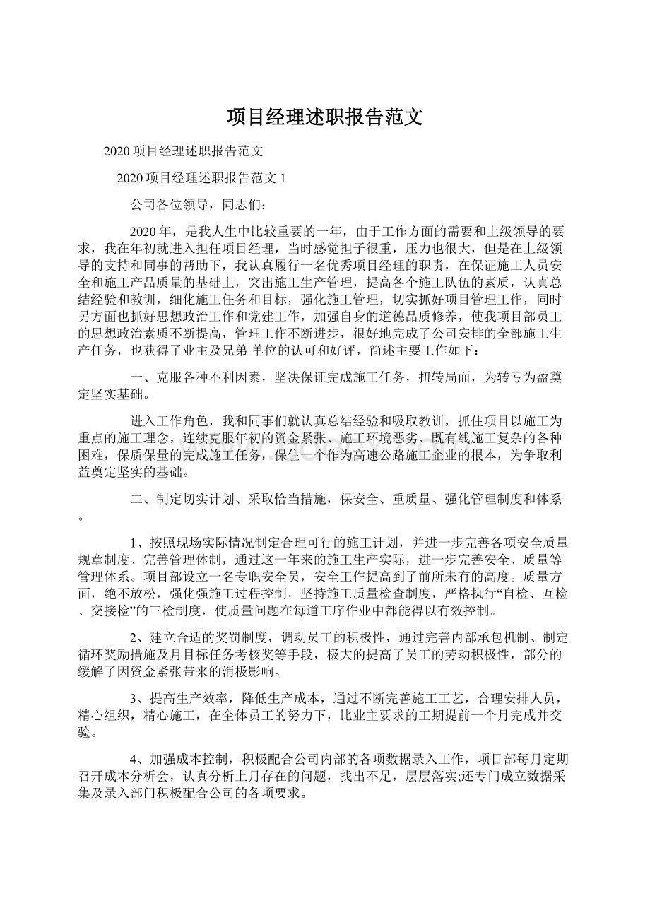 项目经理述职报告范文.docx