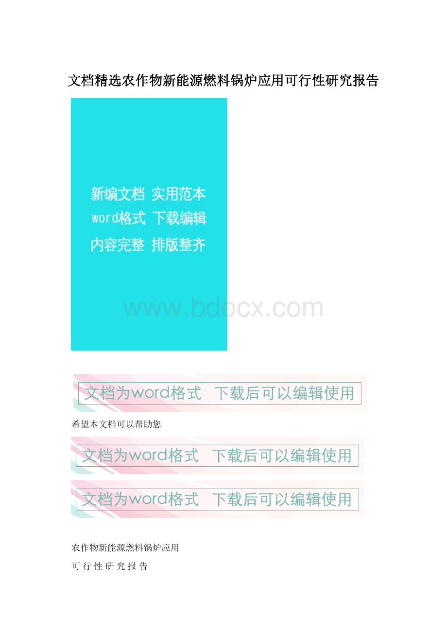 文档精选农作物新能源燃料锅炉应用可行性研究报告.docx_第1页