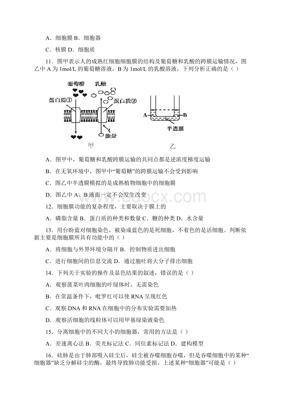 云南省德宏州学年高一上学期期末生物试题含答案解析.docx_第2页