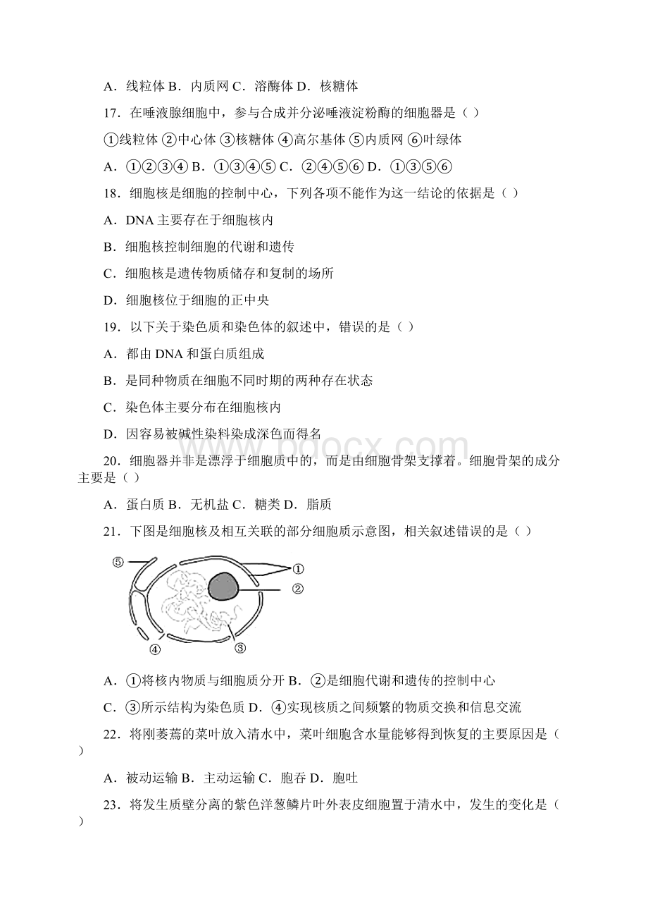 云南省德宏州学年高一上学期期末生物试题含答案解析.docx_第3页