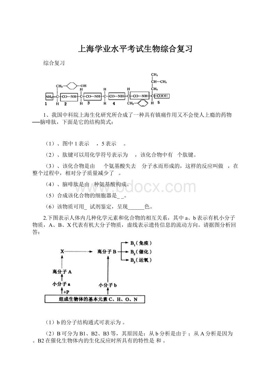 上海学业水平考试生物综合复习.docx_第1页