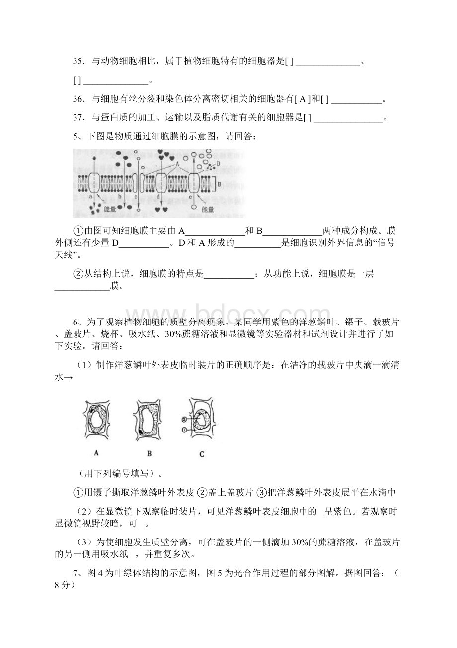 上海学业水平考试生物综合复习.docx_第3页