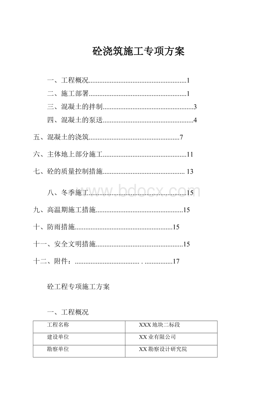 砼浇筑施工专项方案.docx_第1页