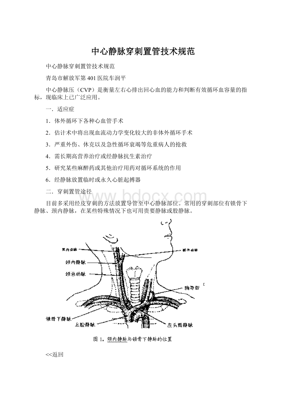 中心静脉穿刺置管技术规范Word下载.docx_第1页