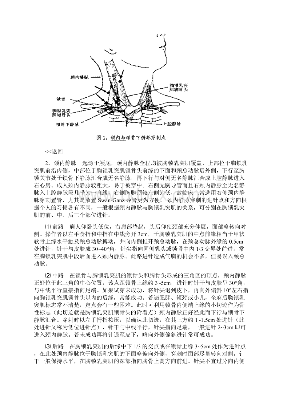 中心静脉穿刺置管技术规范Word下载.docx_第3页