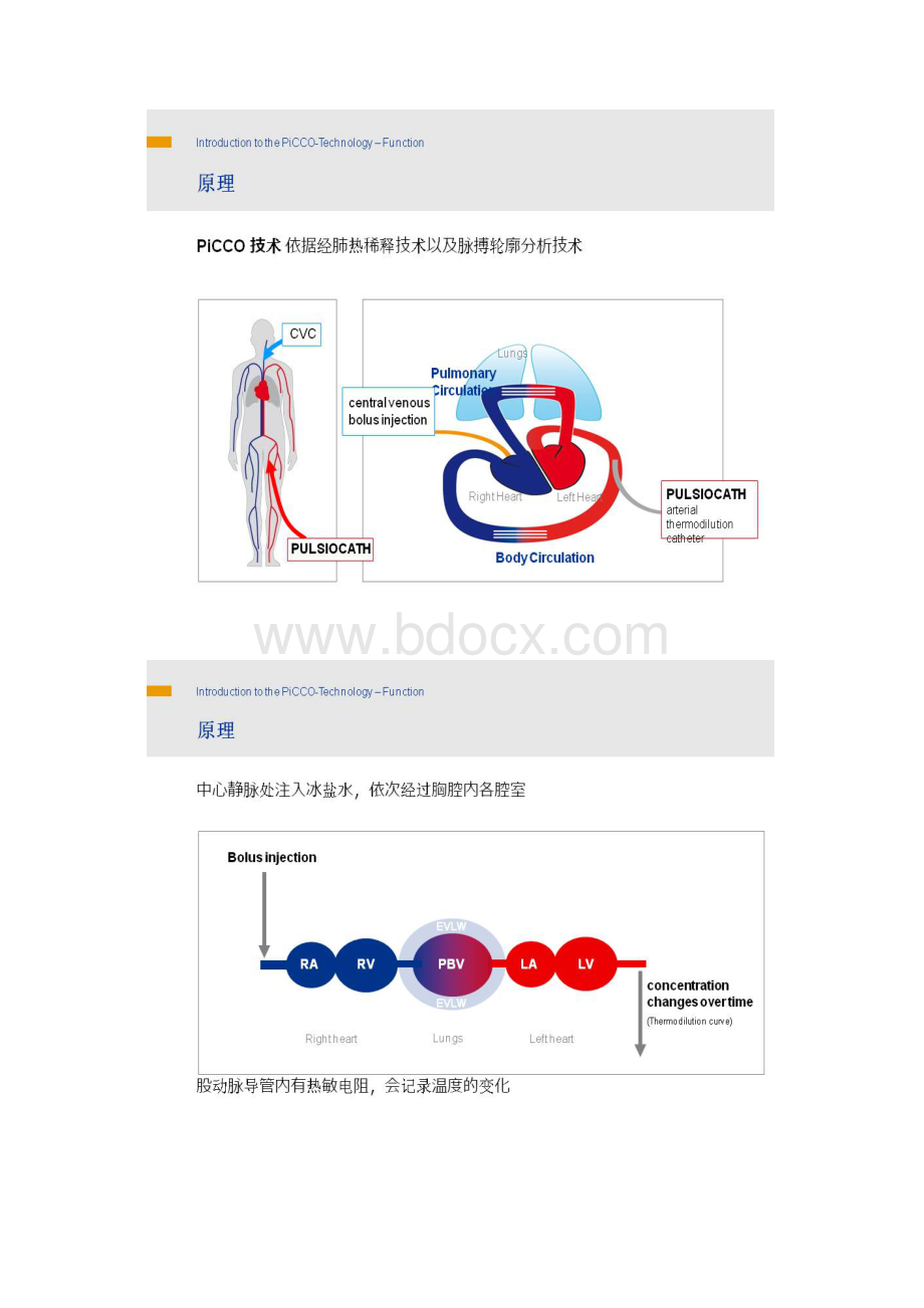 PICCO的临床运用超详细图解版Word格式.docx_第2页