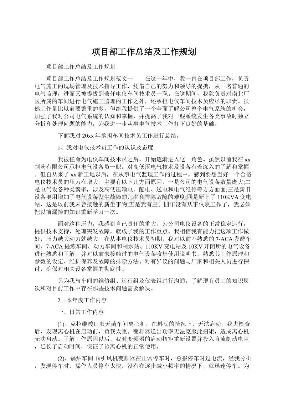 项目部工作总结及工作规划文档格式.docx_第1页