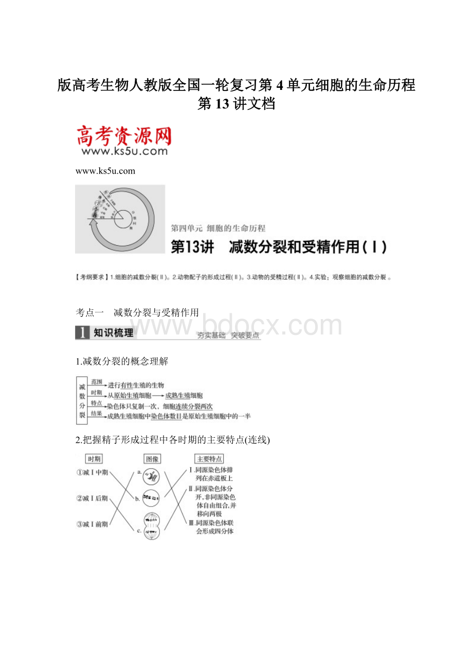 版高考生物人教版全国一轮复习第4单元细胞的生命历程第13讲文档Word格式.docx