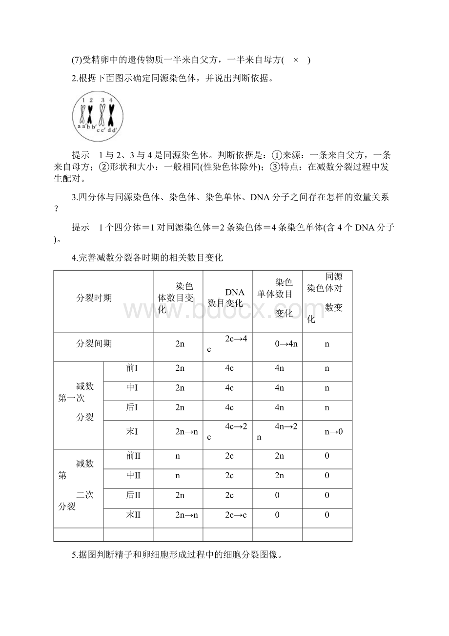 版高考生物人教版全国一轮复习第4单元细胞的生命历程第13讲文档Word格式.docx_第3页