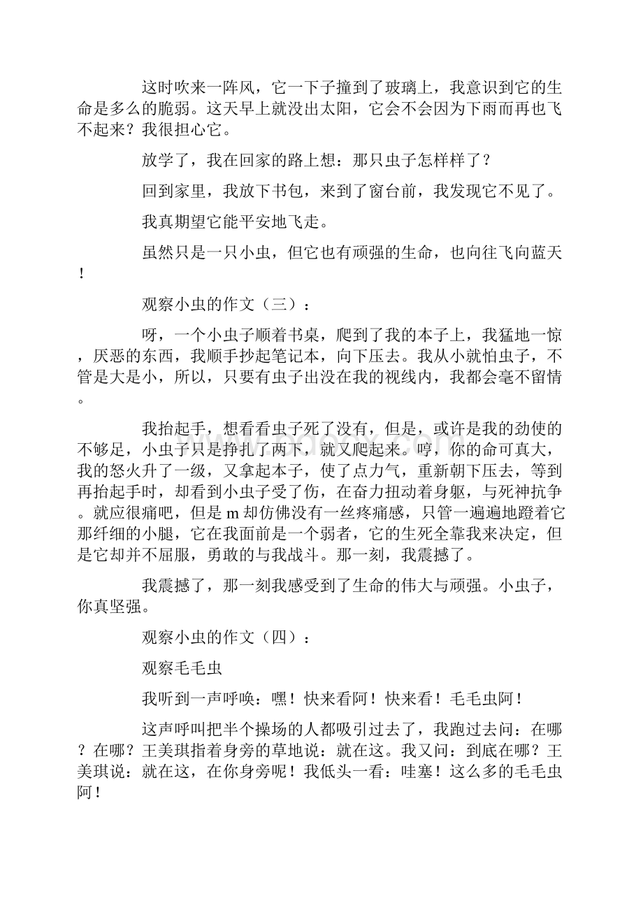 观察小虫的作文30篇.docx_第2页