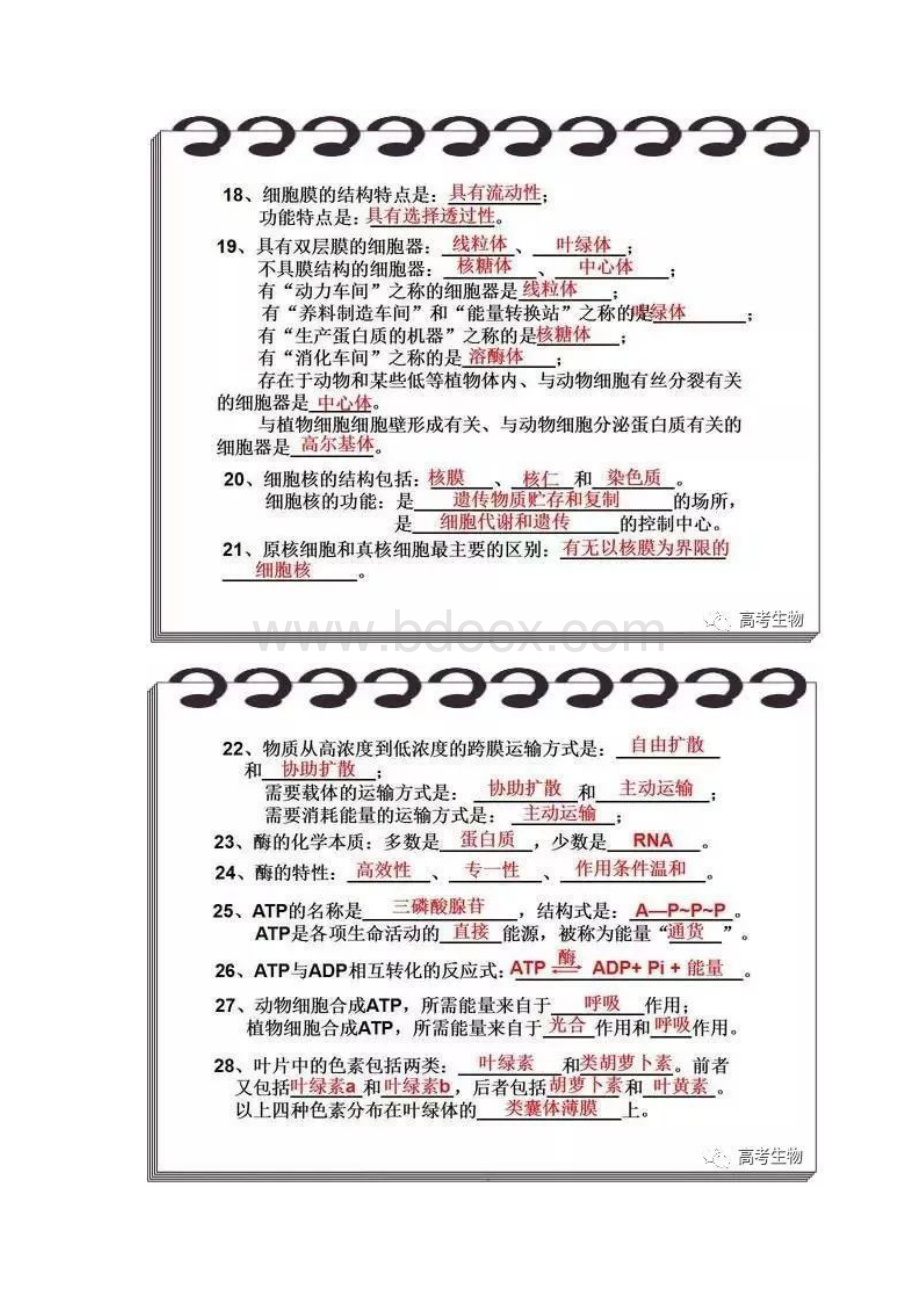 高中生物知识点大总结三年知识全掌握.docx_第3页