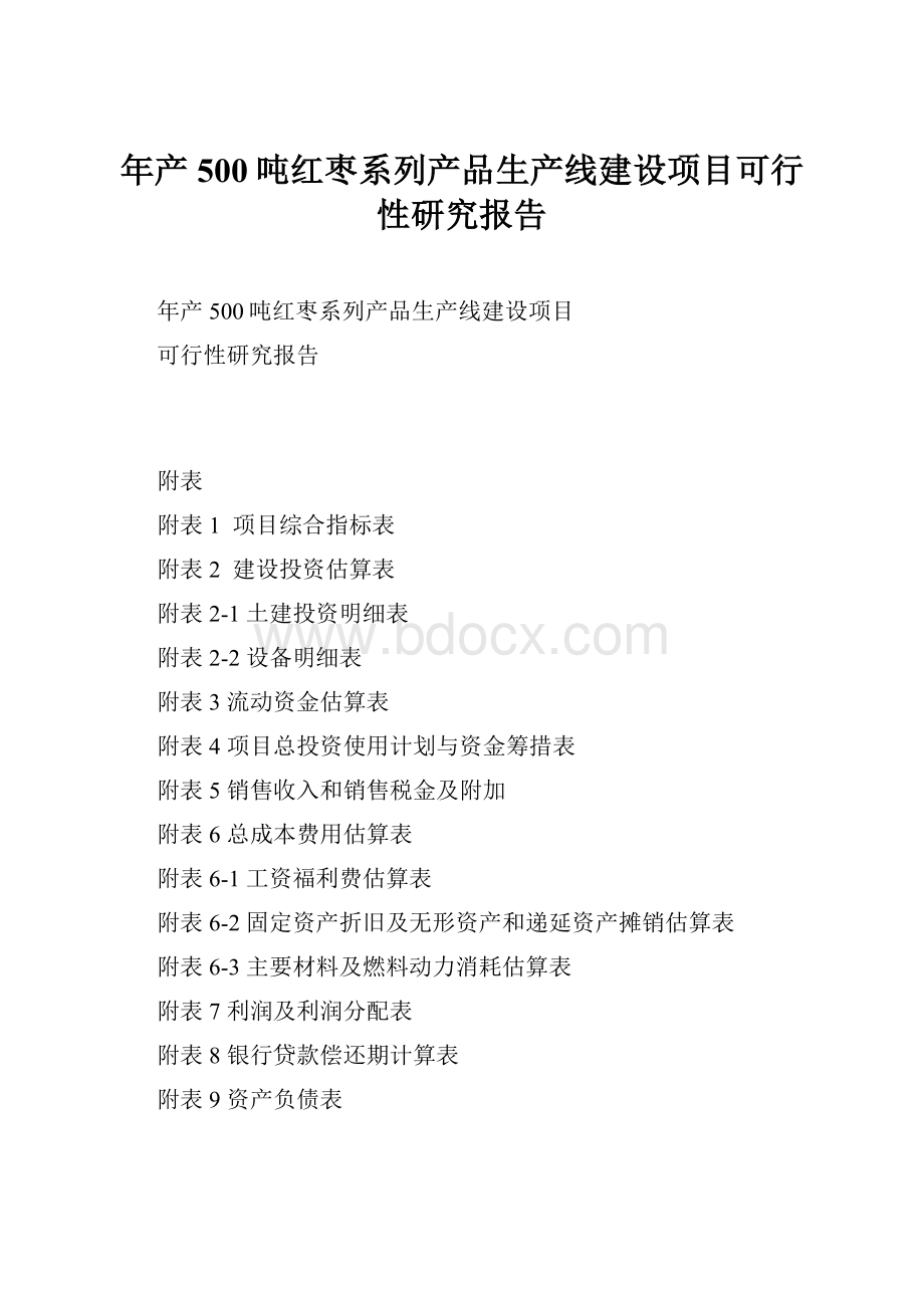 年产500吨红枣系列产品生产线建设项目可行性研究报告.docx_第1页