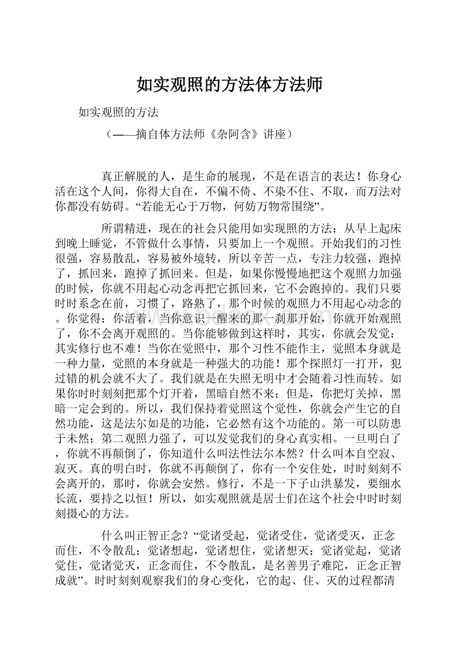 如实观照的方法体方法师Word文档格式.docx