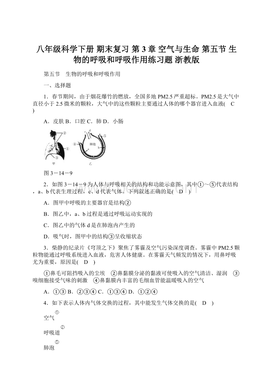 八年级科学下册 期末复习 第3章 空气与生命 第五节 生物的呼吸和呼吸作用练习题 浙教版Word格式文档下载.docx_第1页