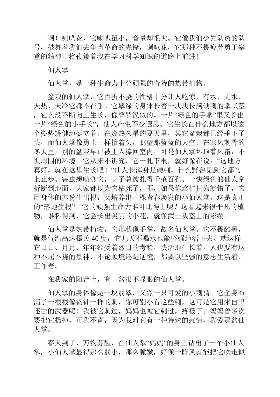 观察植物日记400字Word文件下载.docx_第3页