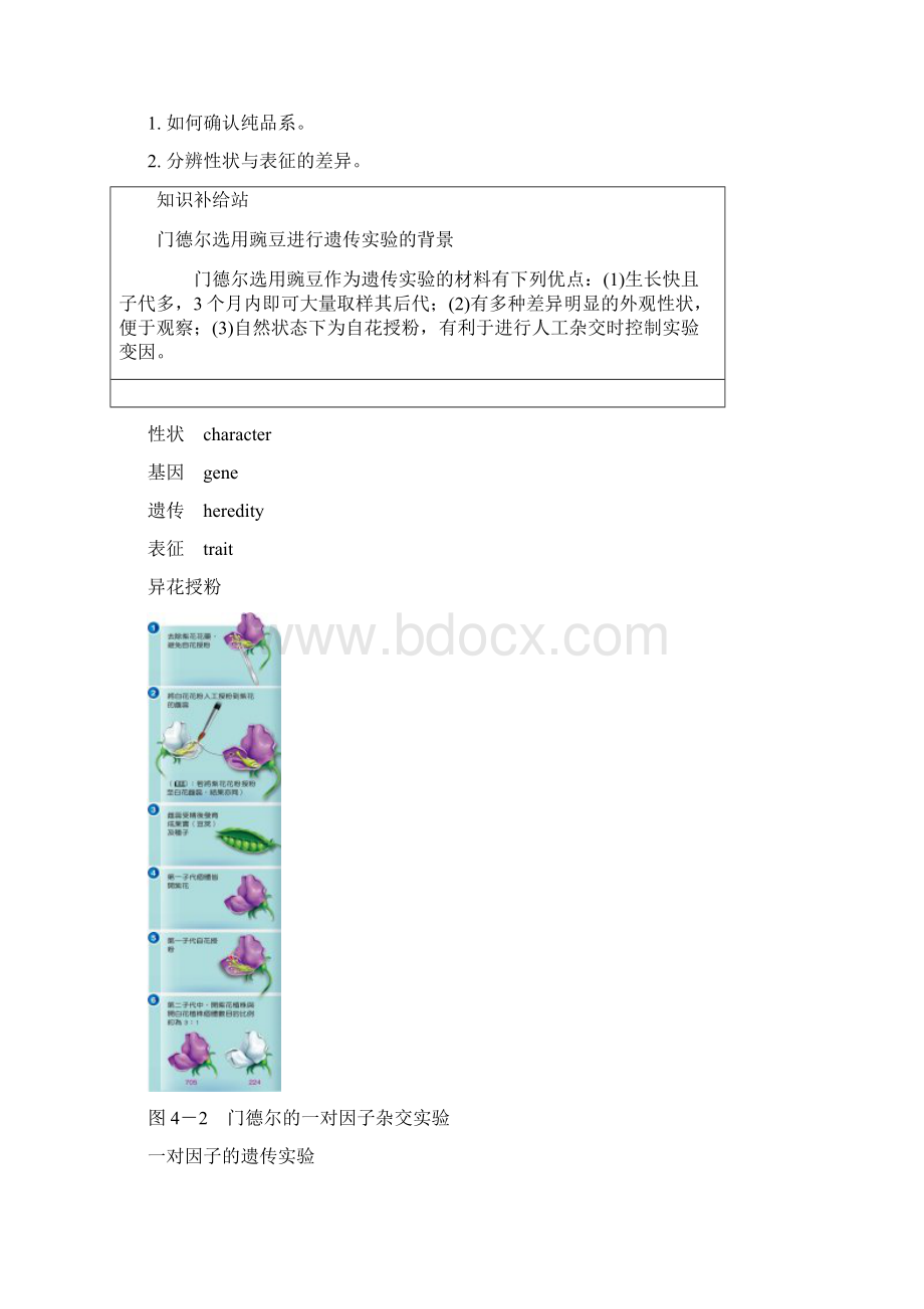 基础生物课本遗传Word文档下载推荐.docx_第3页