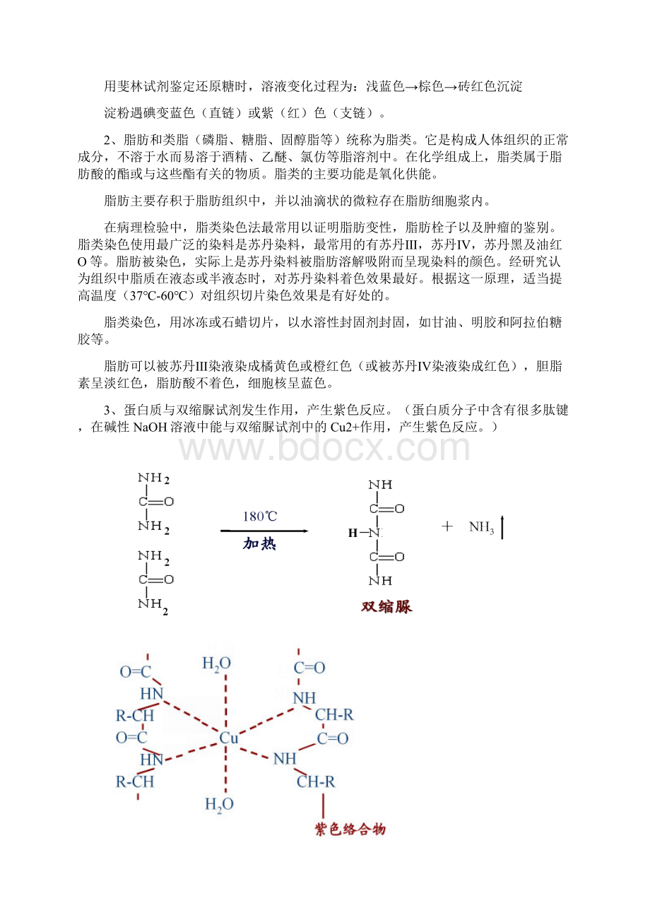 人教版高中生物必修课本实验课设计大全Word格式文档下载.docx_第3页