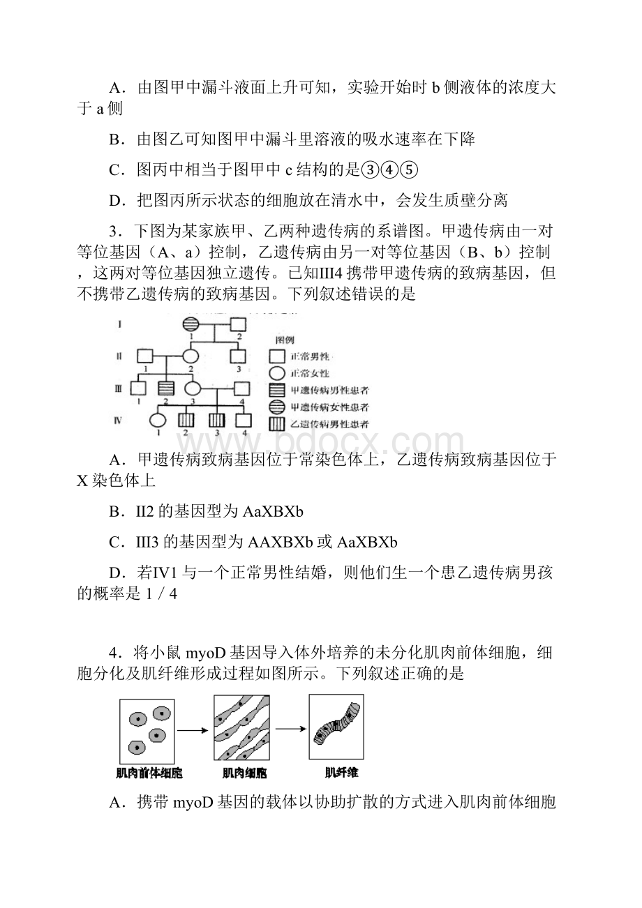 江苏省南京市届高三考前冲刺训练南京市教研室Word文档格式.docx_第2页