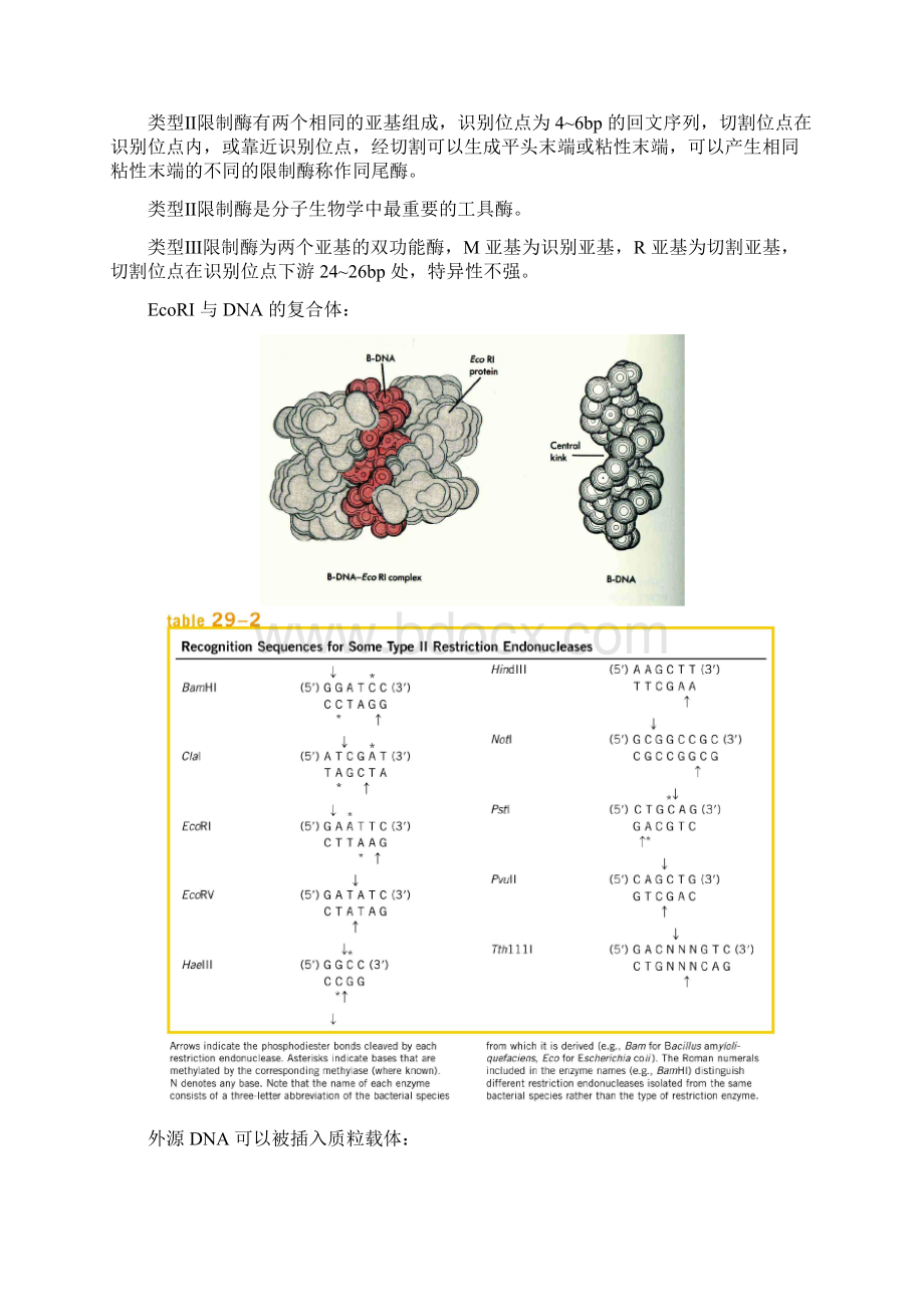 第39章 基因工程及蛋白质工程.docx_第2页