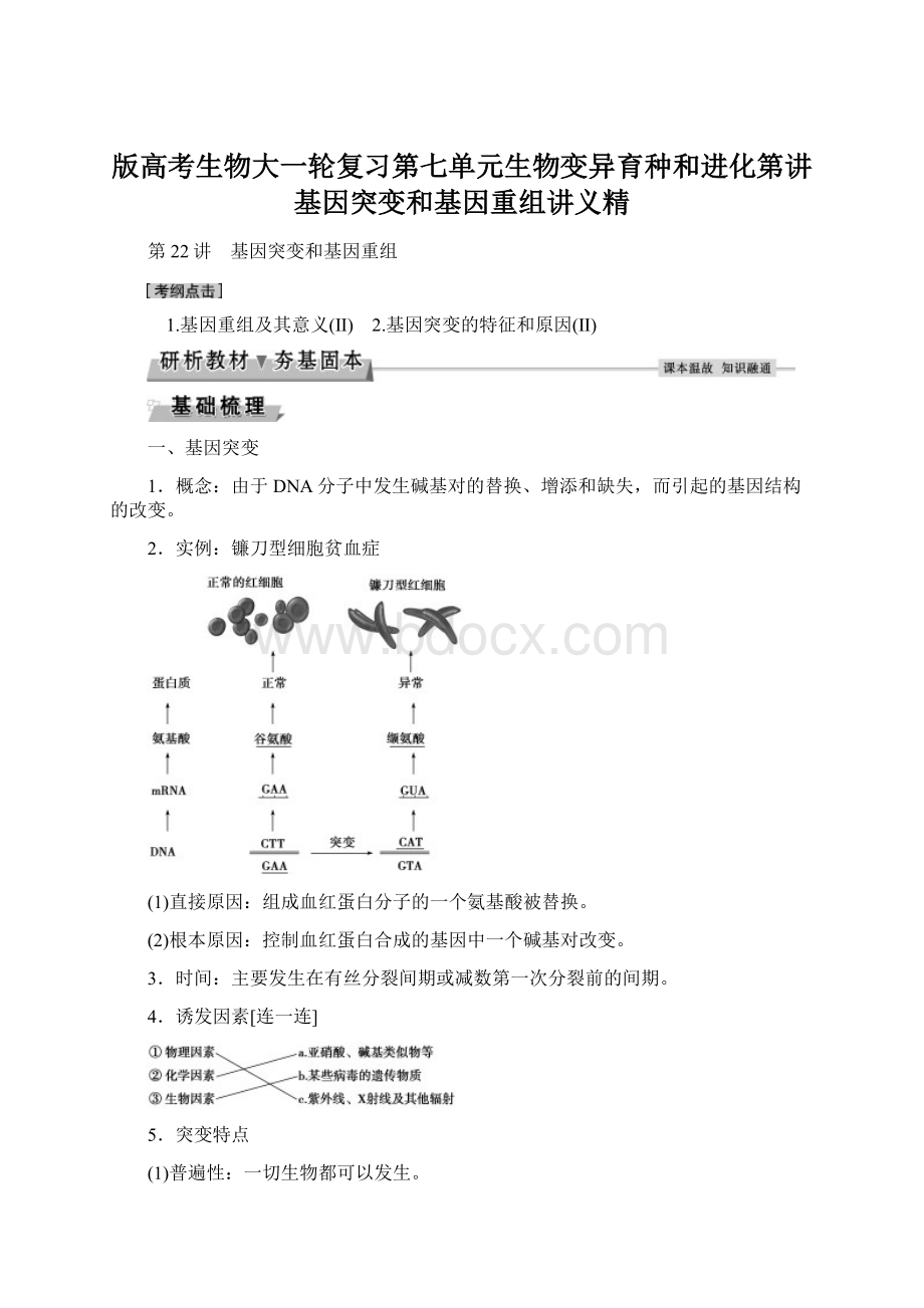 版高考生物大一轮复习第七单元生物变异育种和进化第讲基因突变和基因重组讲义精.docx