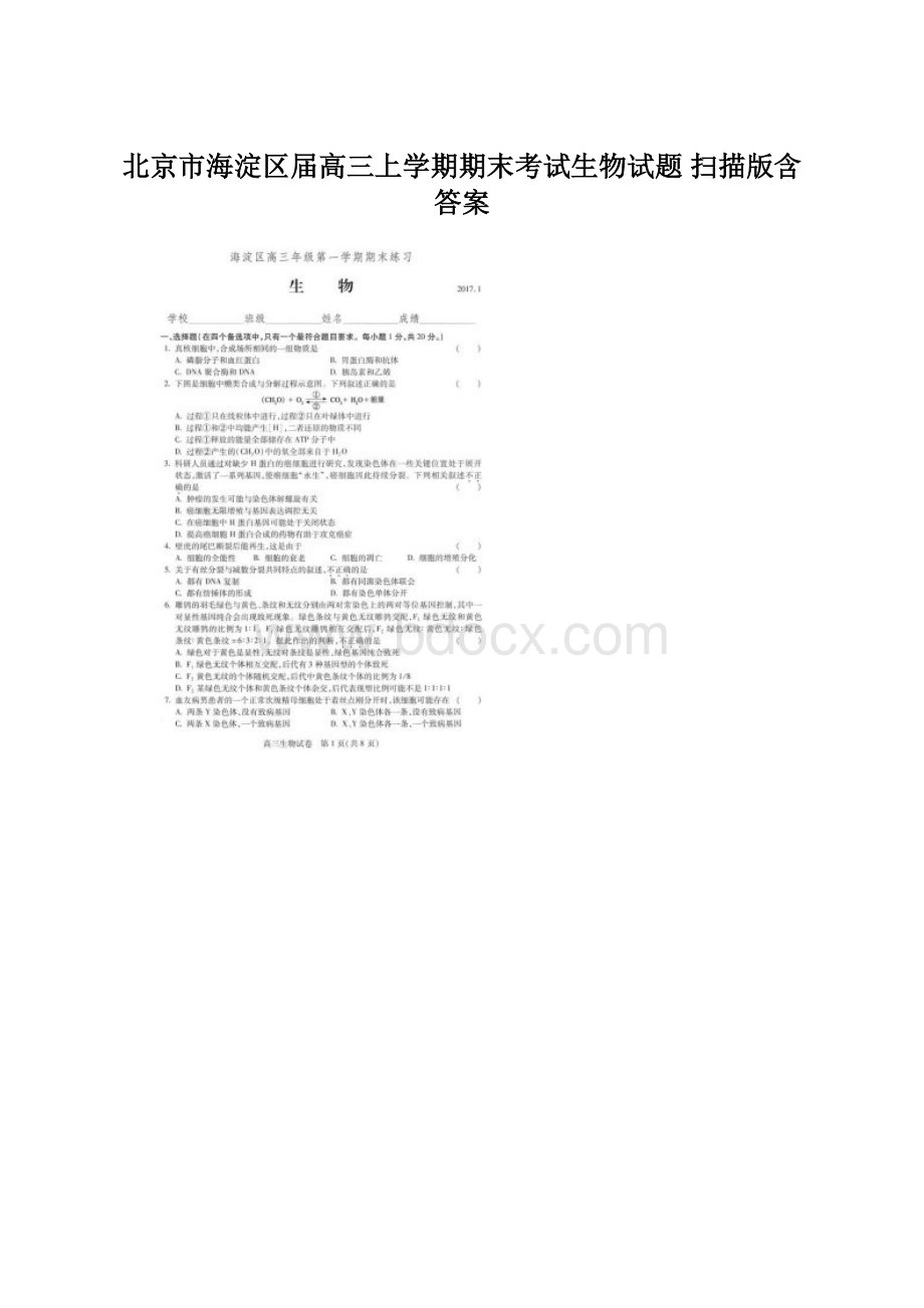 北京市海淀区届高三上学期期末考试生物试题 扫描版含答案.docx_第1页