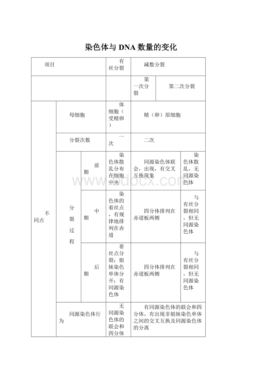 染色体与DNA数量的变化Word文件下载.docx