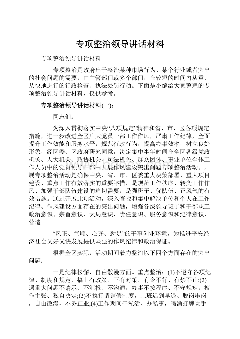 专项整治领导讲话材料.docx