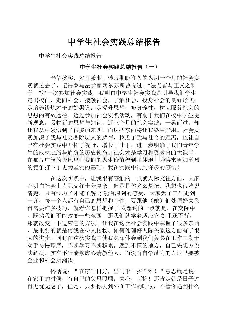 中学生社会实践总结报告文档格式.docx