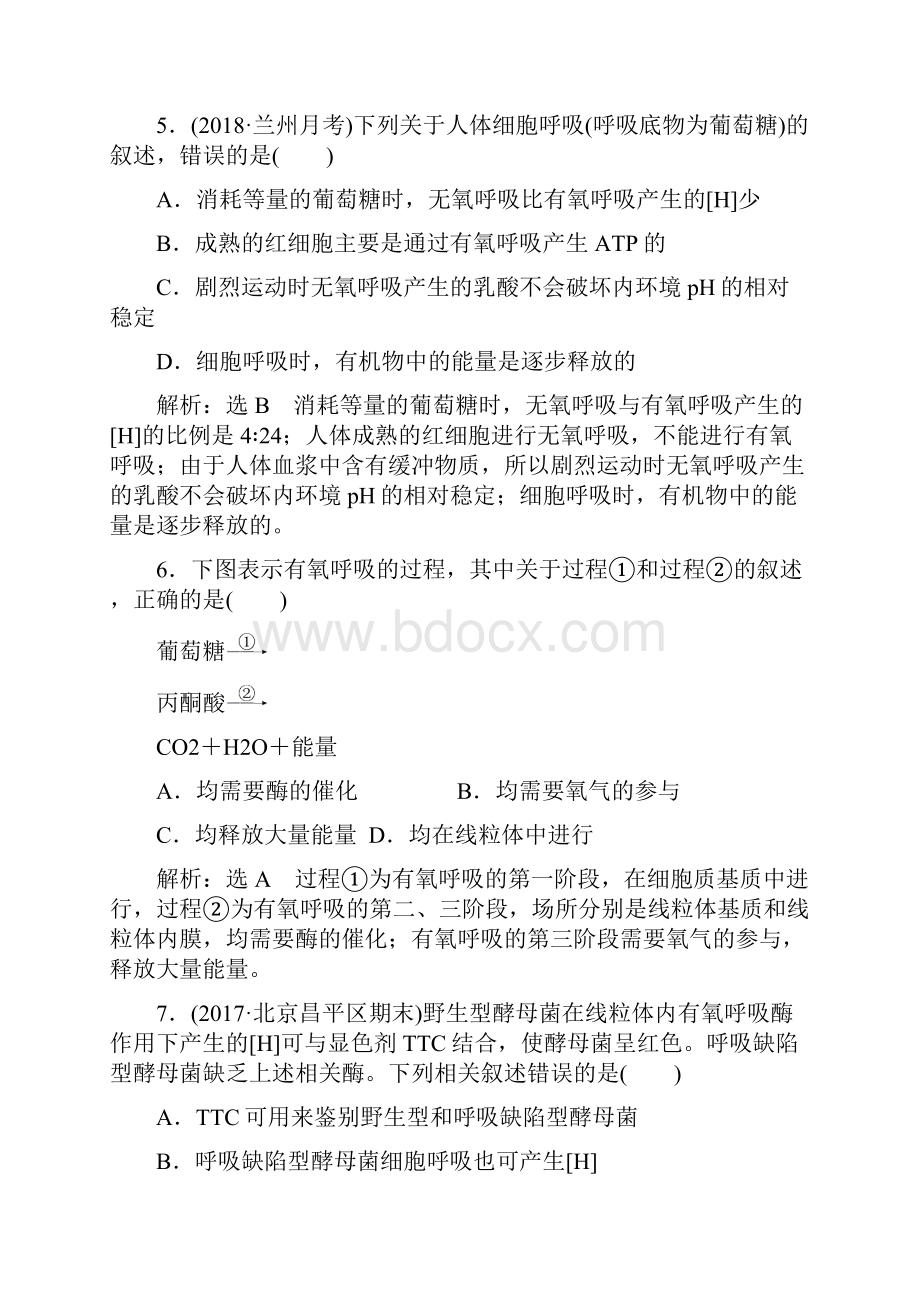 届人教版ATP与细胞呼吸 单元测试Word文档下载推荐.docx_第3页