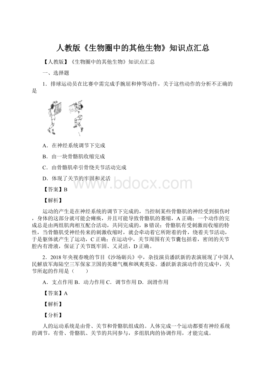 人教版《生物圈中的其他生物》知识点汇总Word下载.docx