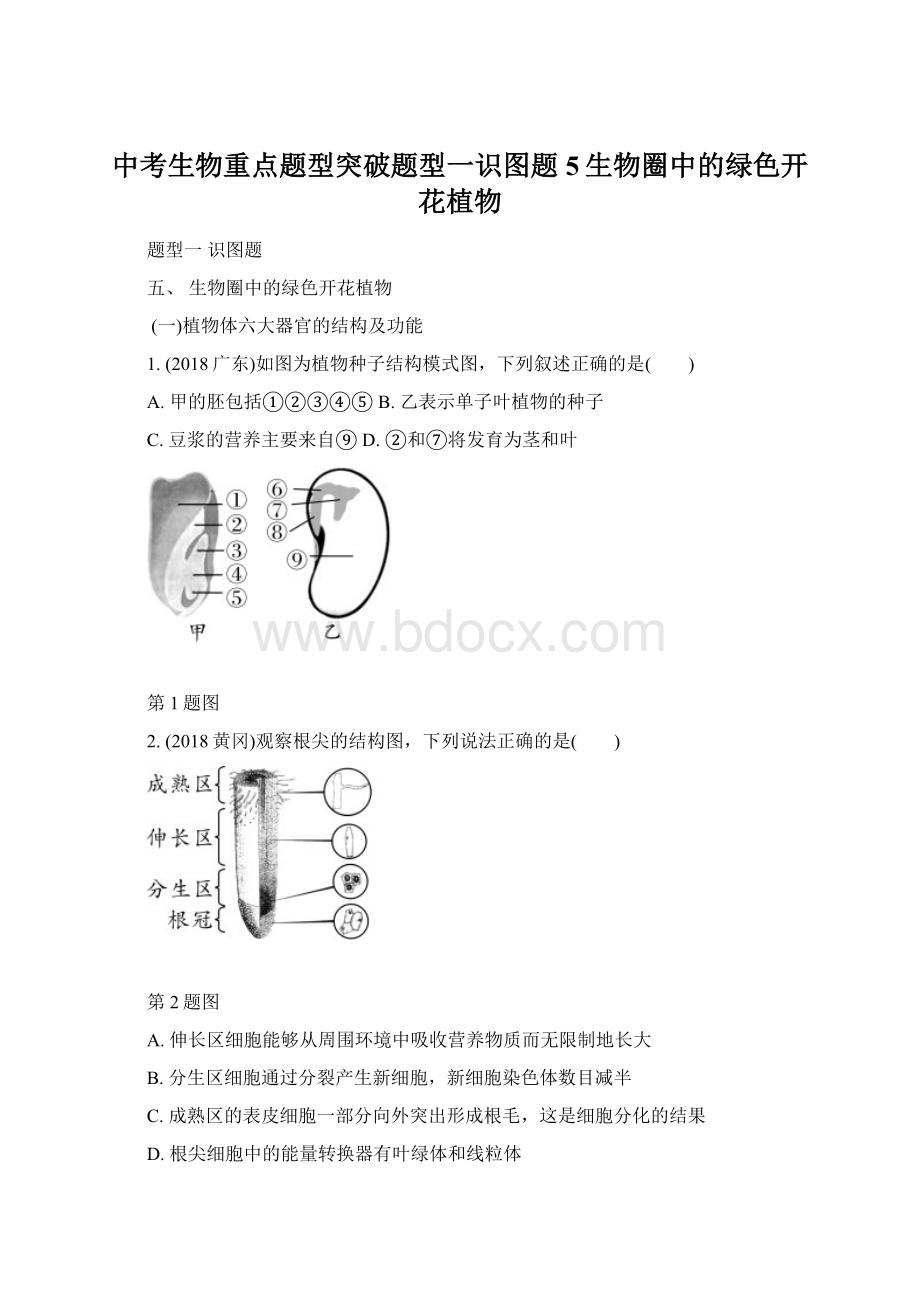 中考生物重点题型突破题型一识图题5生物圈中的绿色开花植物.docx_第1页