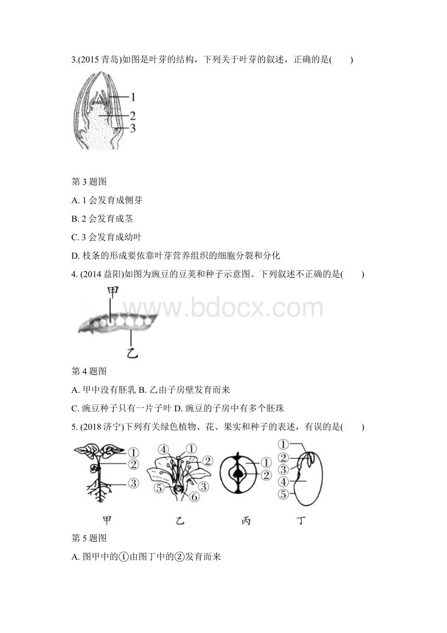 中考生物重点题型突破题型一识图题5生物圈中的绿色开花植物.docx_第2页