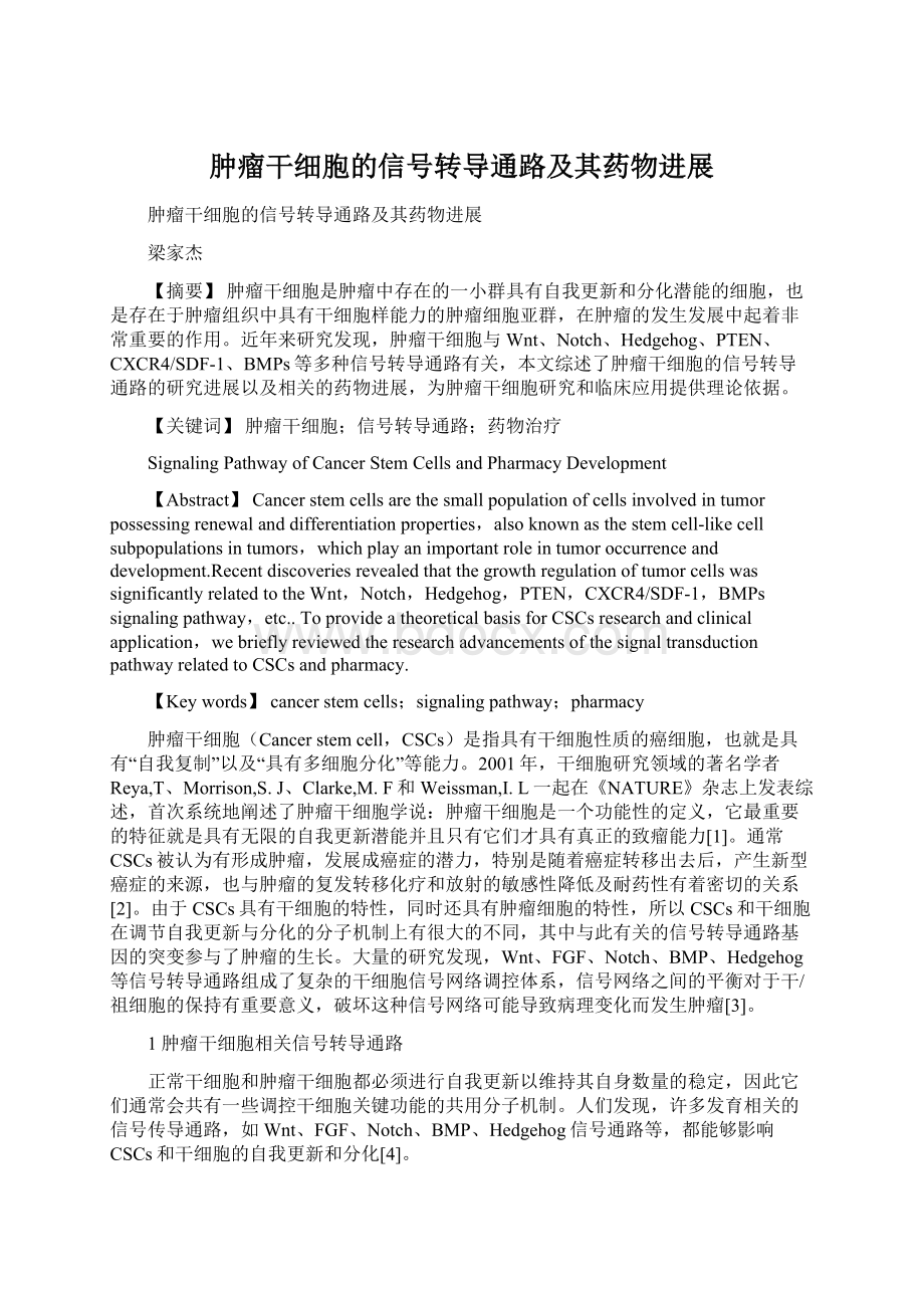 肿瘤干细胞的信号转导通路及其药物进展Word文件下载.docx_第1页