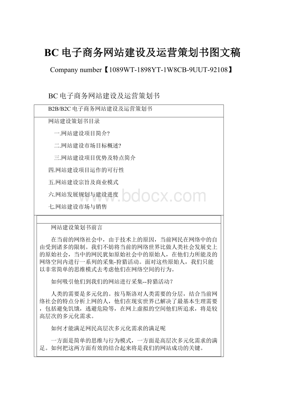 BC电子商务网站建设及运营策划书图文稿.docx_第1页