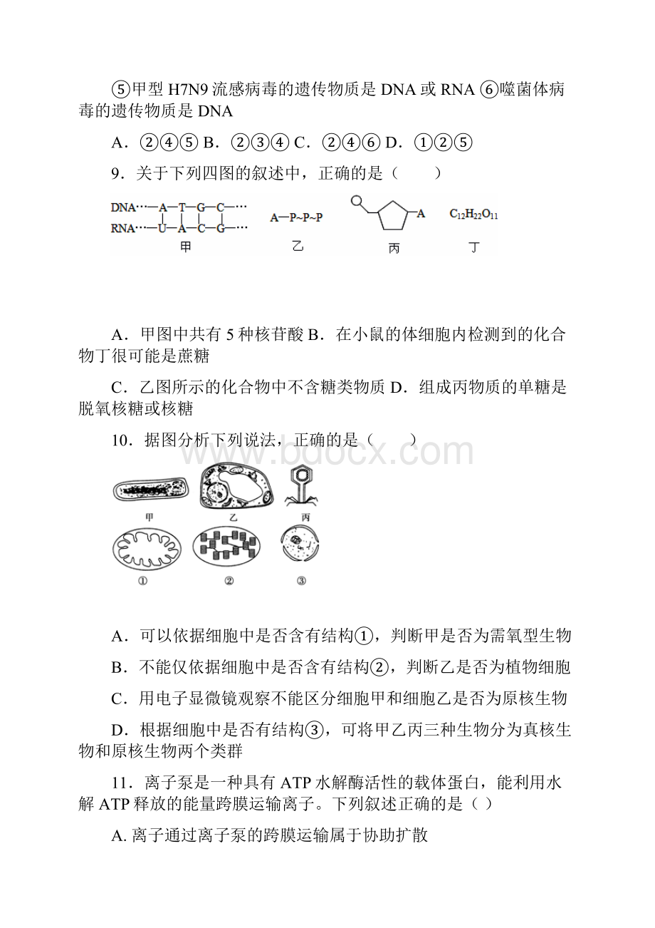 最新学年高二生物下学期期末考试试题人教版Word下载.docx_第3页