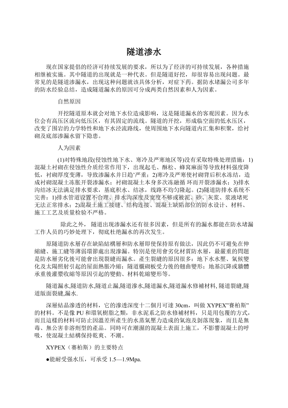 隧道渗水Word文档格式.docx