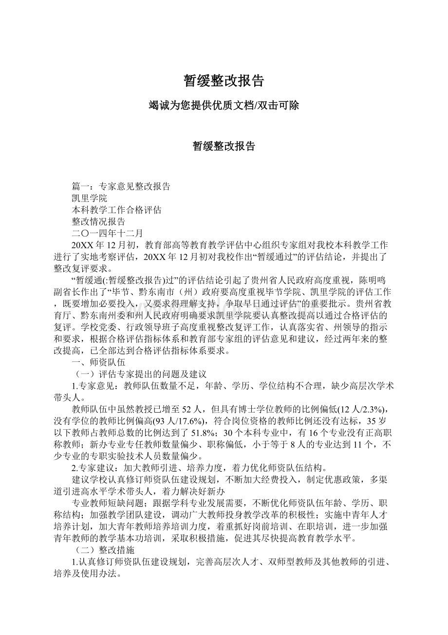 暂缓整改报告Word文档格式.docx_第1页