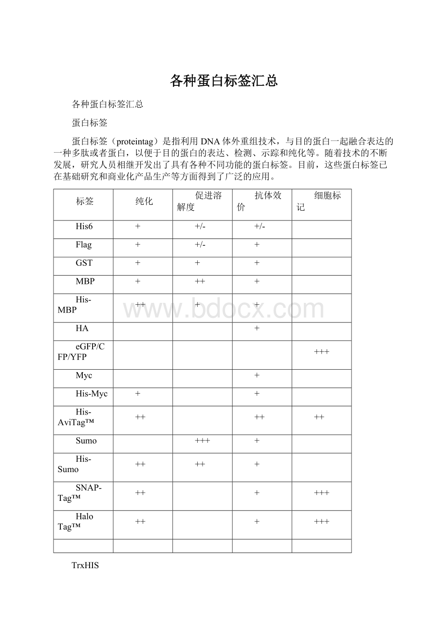 各种蛋白标签汇总Word文档下载推荐.docx_第1页