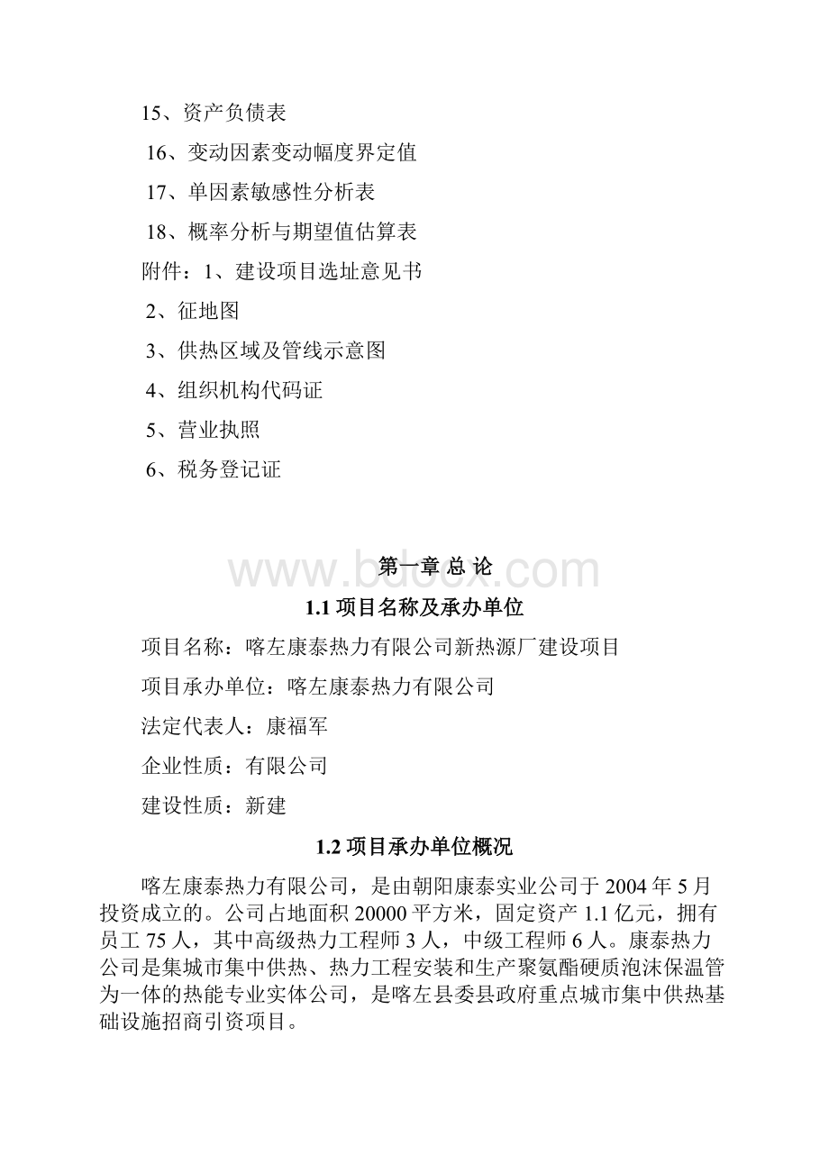 康泰热力新热源厂建设项目可行性研究报告文档格式.docx_第2页