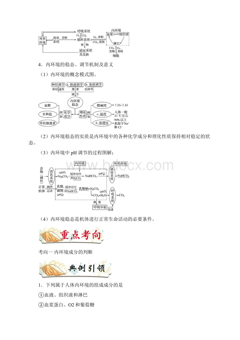 必背考点47 人体的内环境与稳态备战高考生物考点一轮总复习.docx_第3页