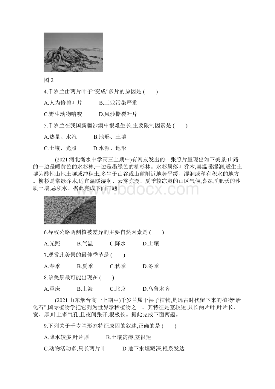 51植被 新题双练 学年高一地理人教版必修第一册.docx_第2页