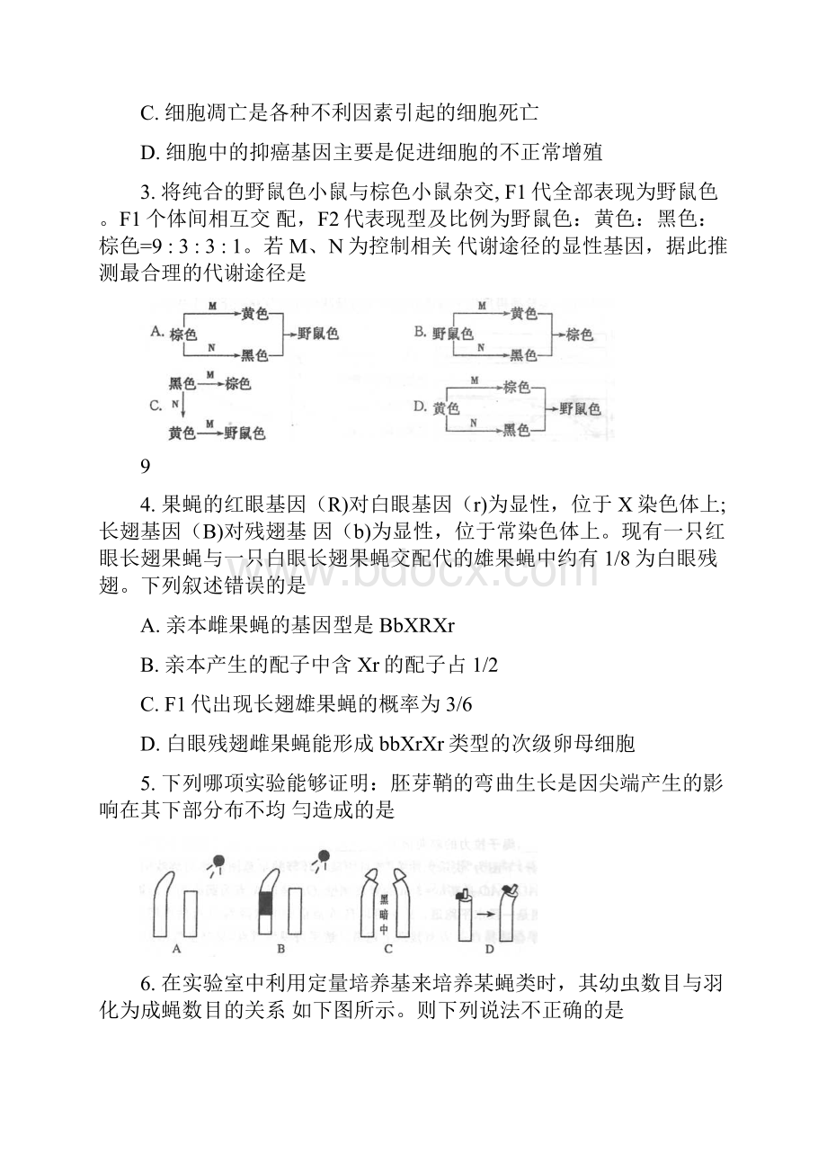 理综卷届河南省郑州市高三第三次模拟考试05 word版Word格式.docx_第2页