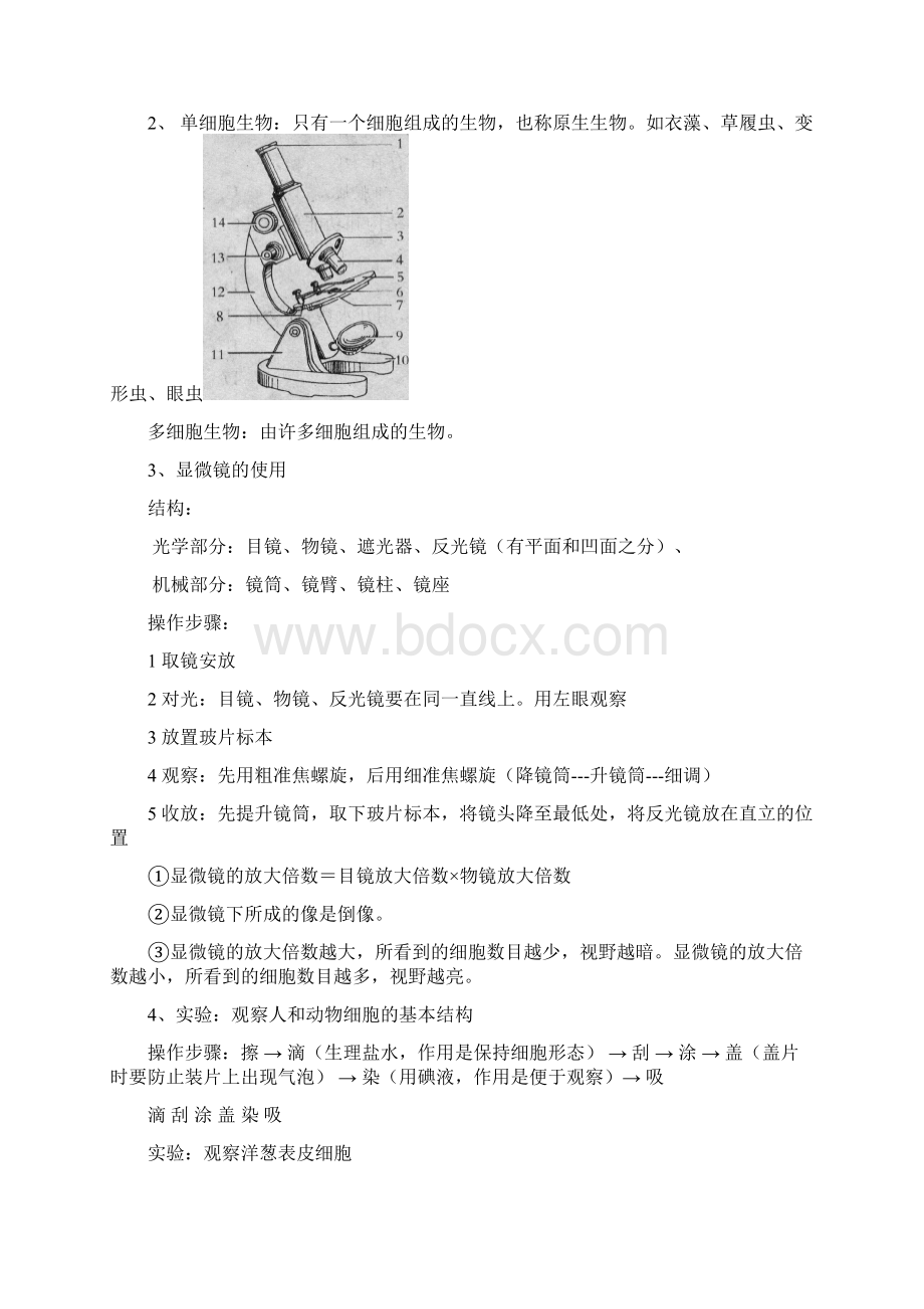 北师大版七年级上册生物知识点Word文档下载推荐.docx_第3页