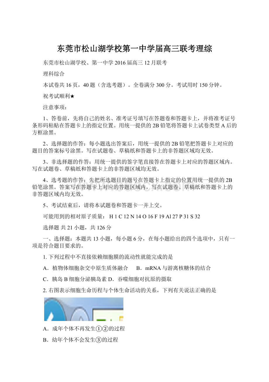 东莞市松山湖学校第一中学届高三联考理综Word格式文档下载.docx