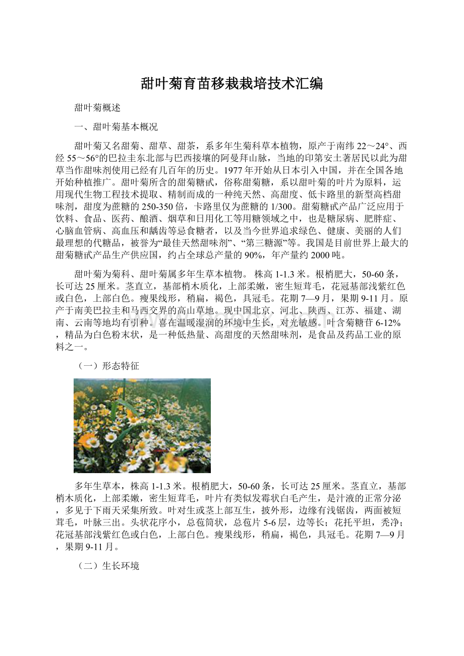 甜叶菊育苗移栽栽培技术汇编.docx_第1页