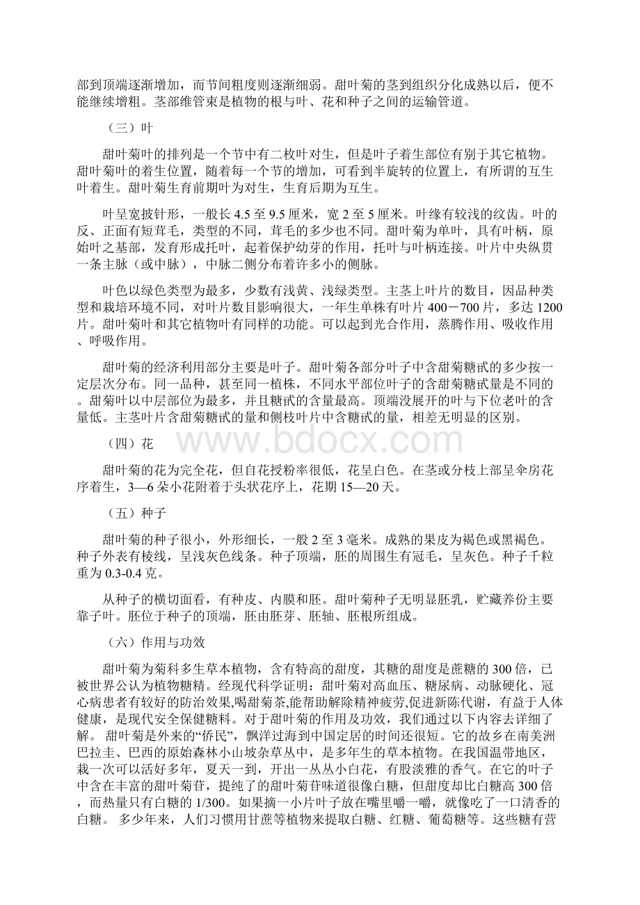 甜叶菊育苗移栽栽培技术汇编.docx_第3页