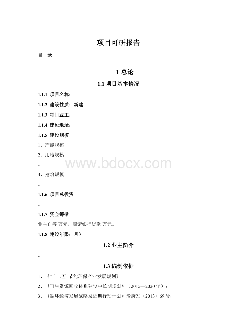 项目可研报告Word格式.docx