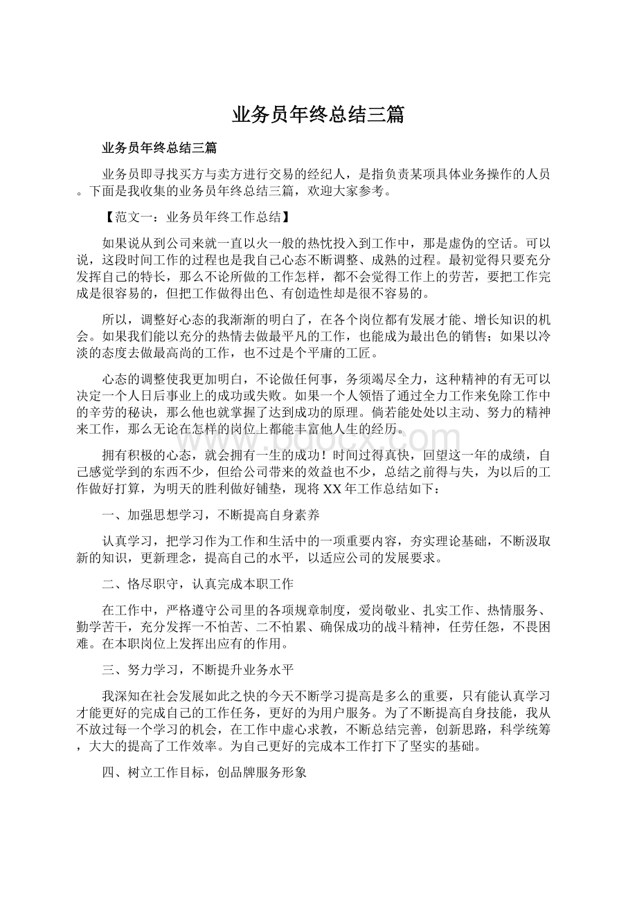 业务员年终总结三篇Word文档下载推荐.docx