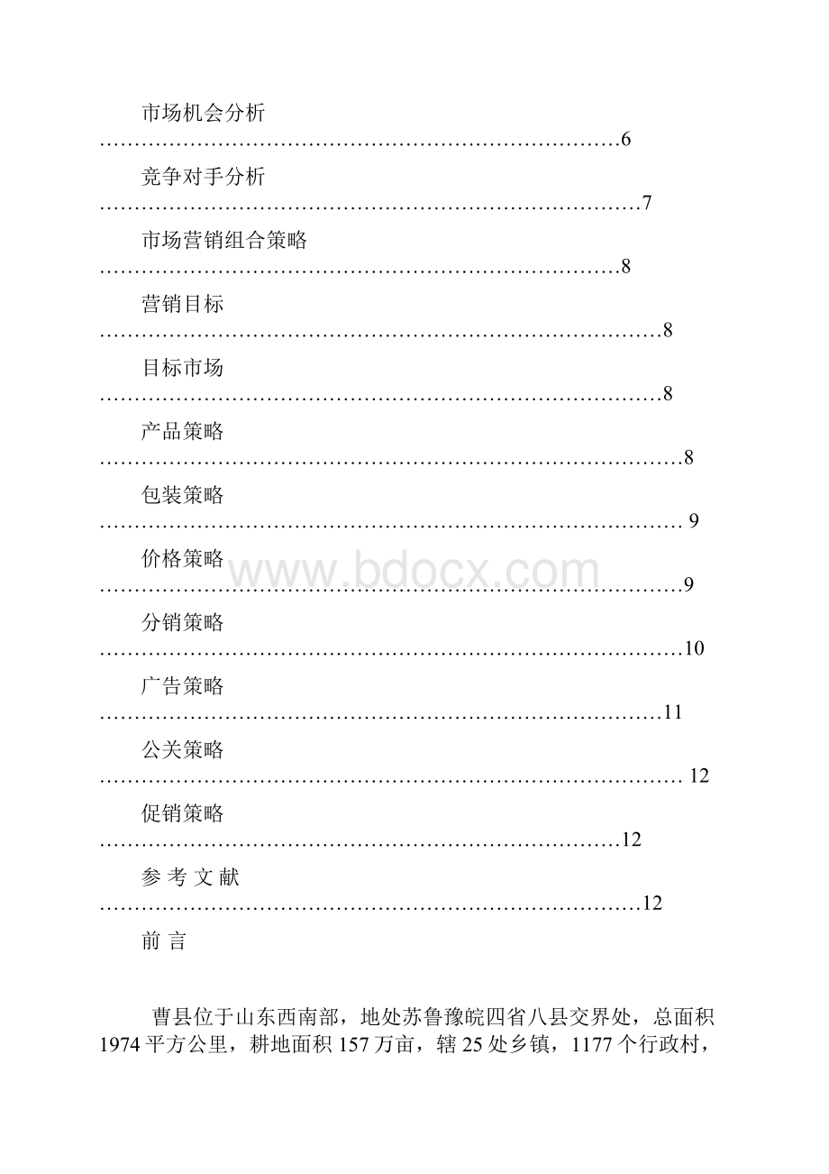 市场营销策划书实用文档格式.docx_第2页